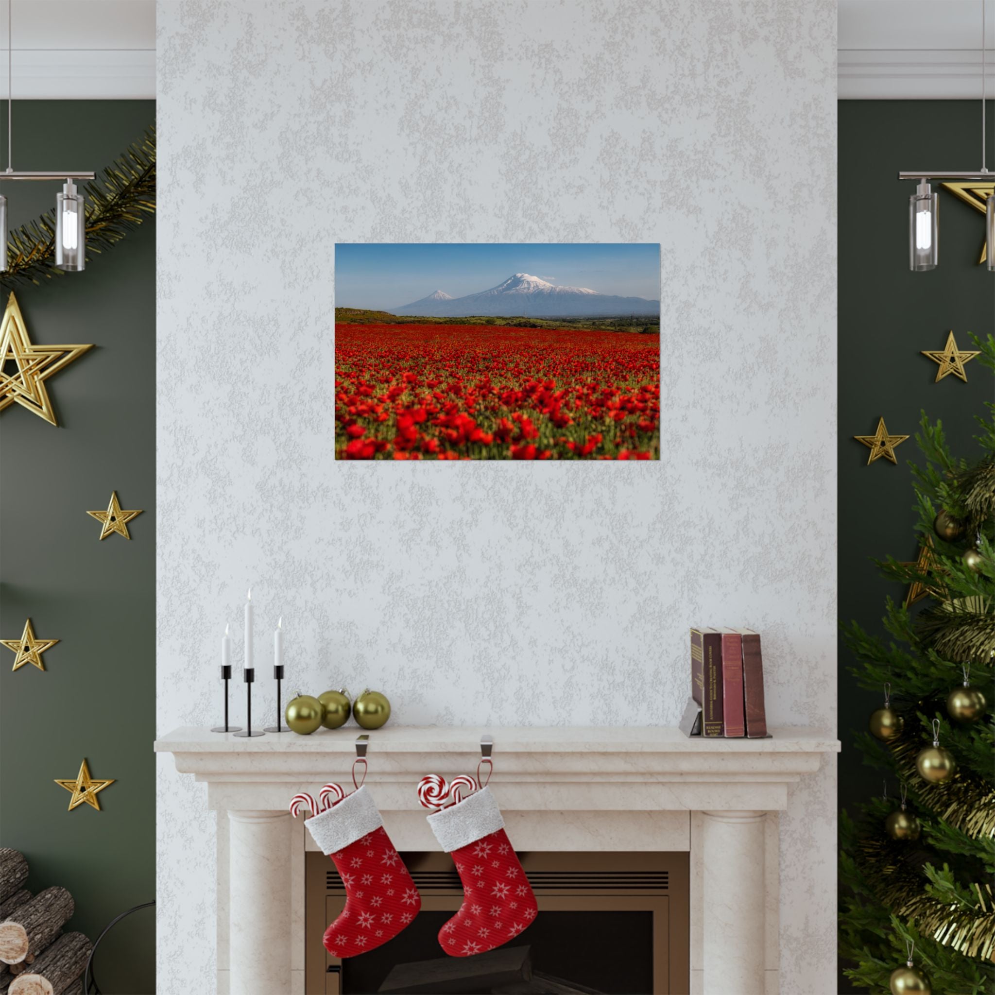 Poppy Field