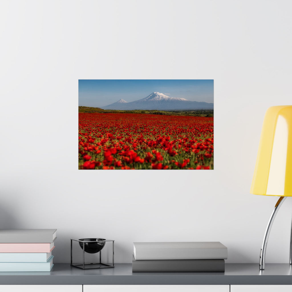 Poppy Field
