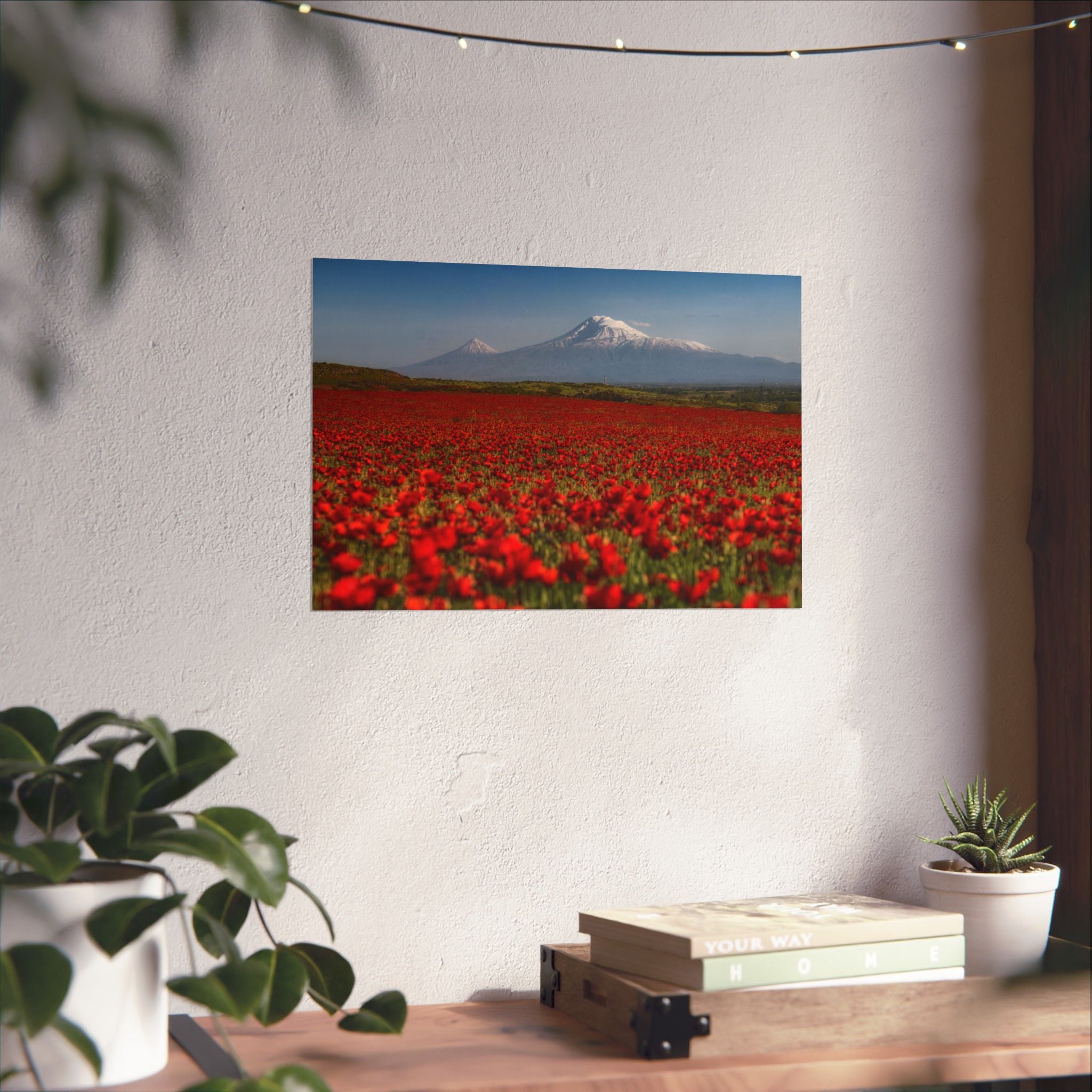 Poppy Field