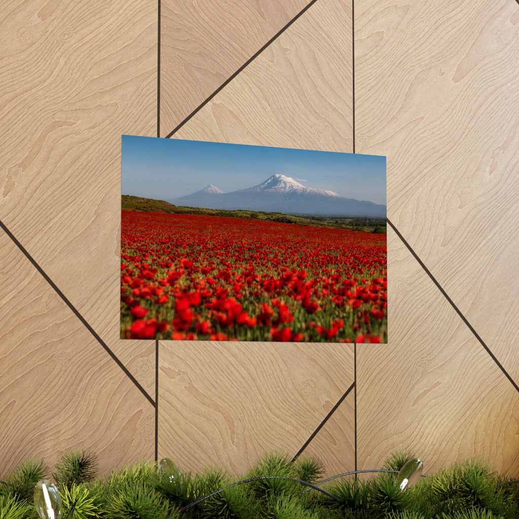 Poppy Field