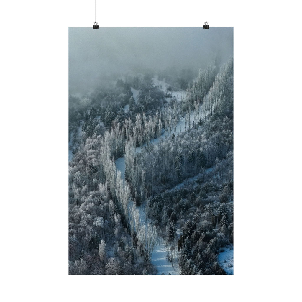 Jrvezh Forest