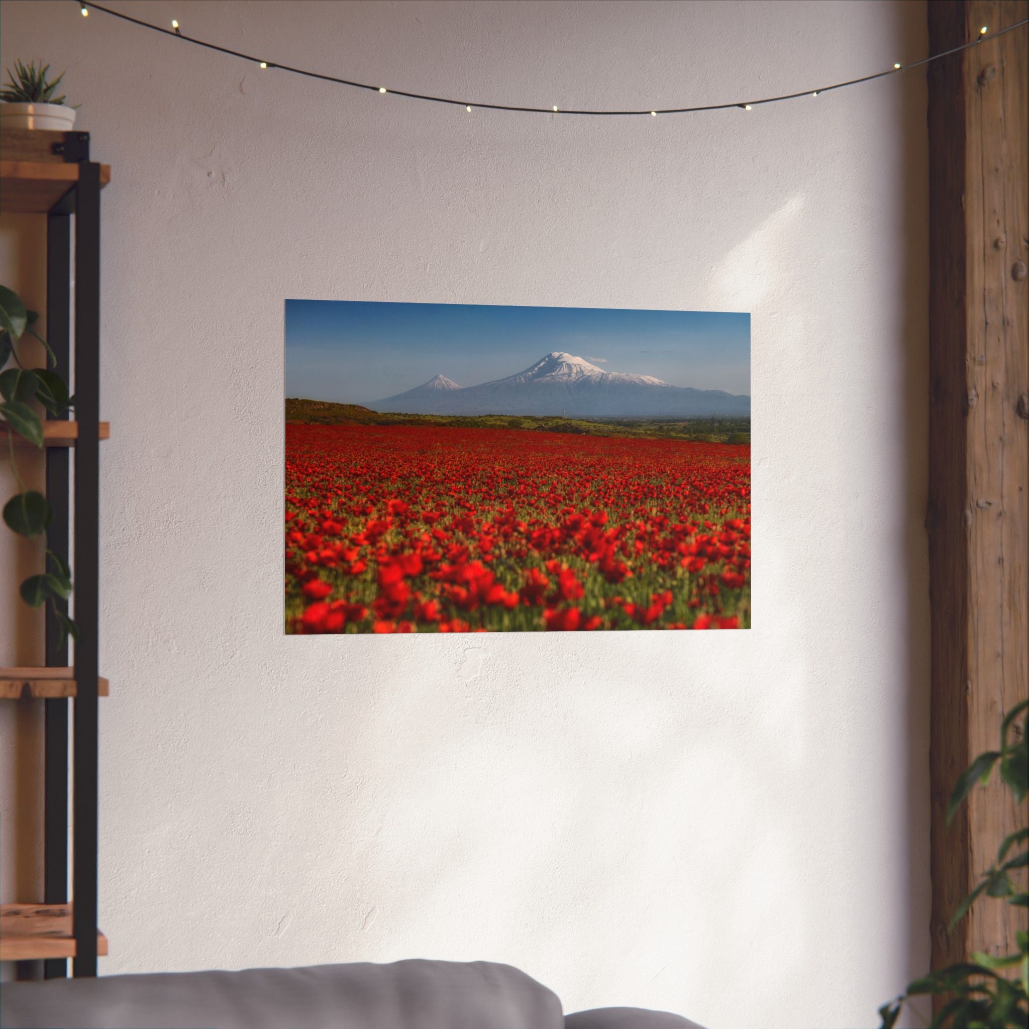 Poppy Field