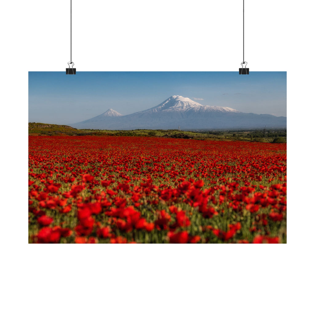 Poppy Field
