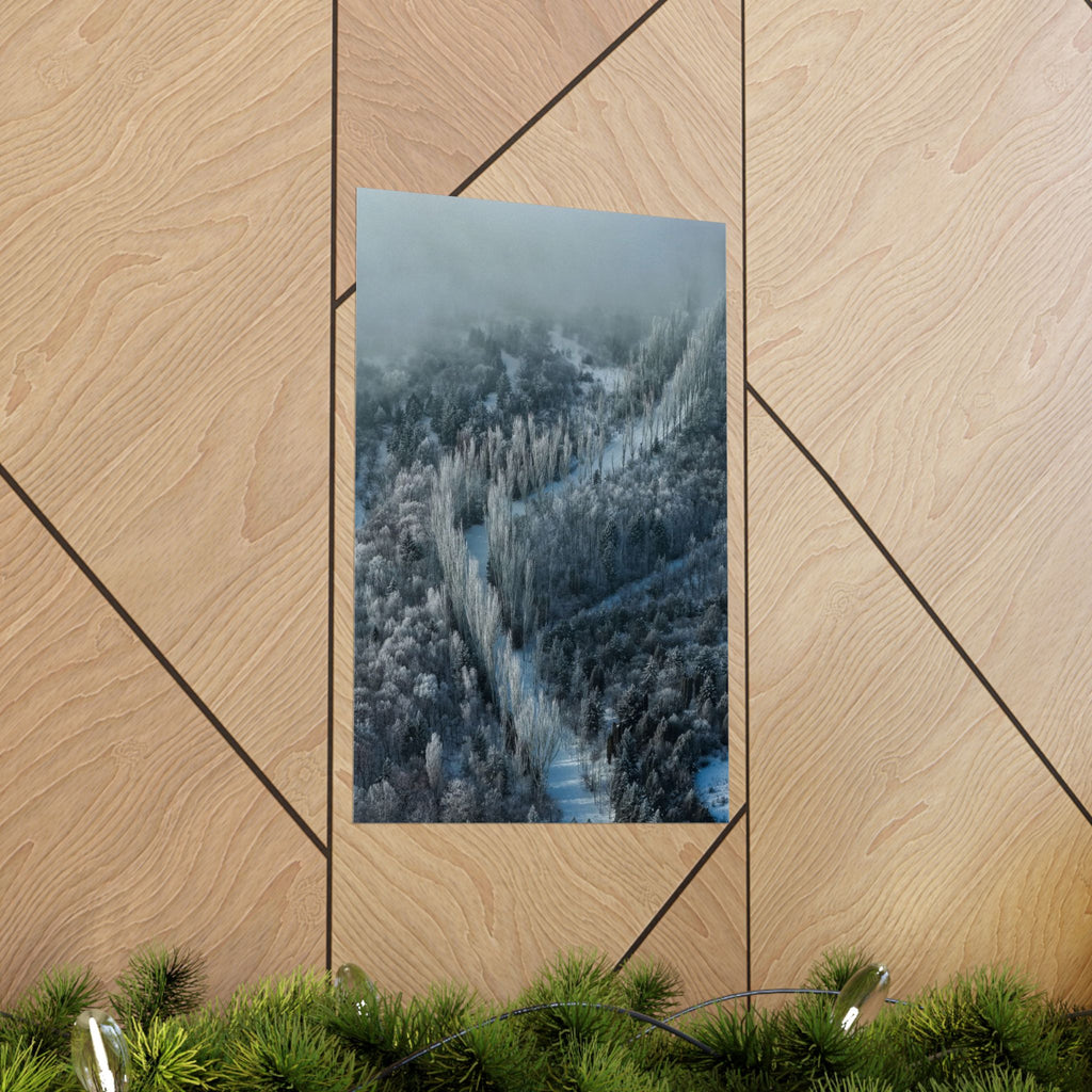 Jrvezh Forest